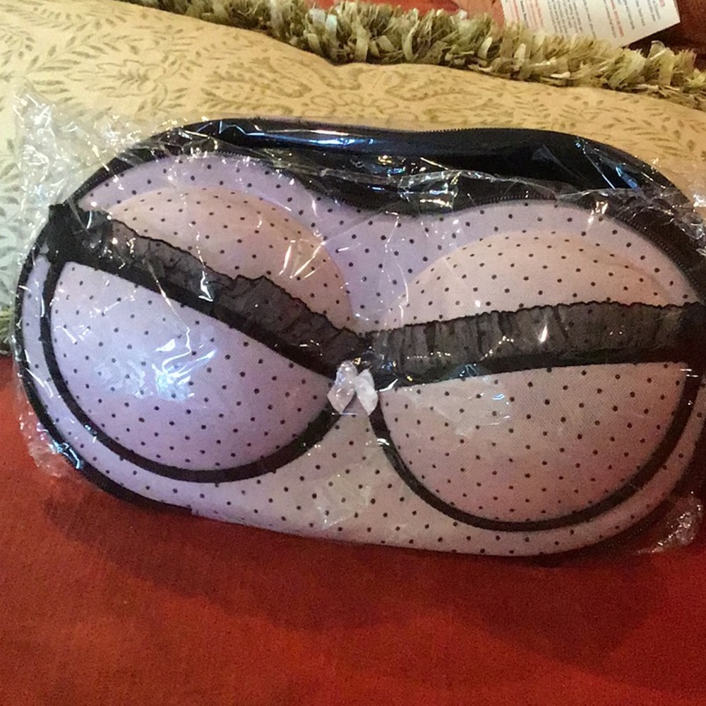 Travel bra carrier